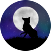 Night Fox Logo